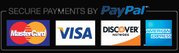Picture of PayPal Logo